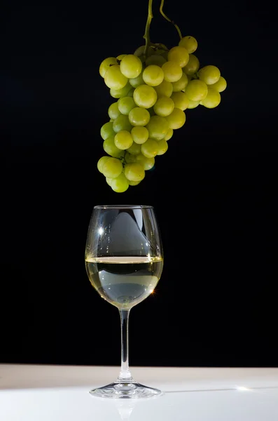 Elaborar vino — Foto de Stock