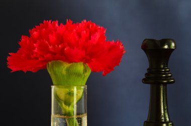 Karanfil çiçeği ve siyah bir kadın