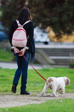 bir köpek yürüyüş