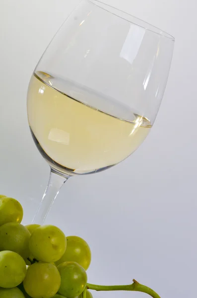 Vino y uvas — Foto de Stock