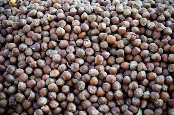 Raw hazelnuts — Stock Photo, Image