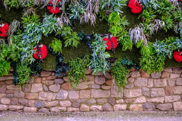 Katalonya Girona Şehrinde Çeşitli Bitkilerle Süslenmiş Bir Kamu Bahçesi Spanya — Stok fotoğraf