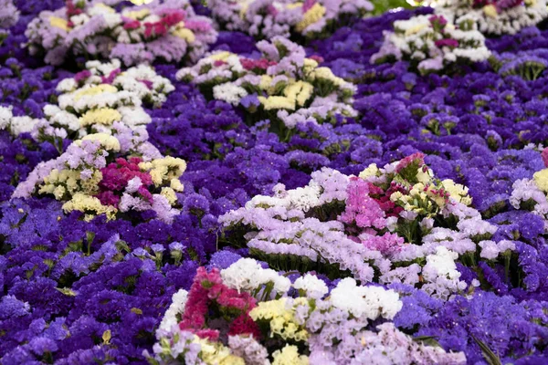 Jardín Público Decorado Con Varias Plantas Ciudad Girona Cataluña España —  Fotos de Stock