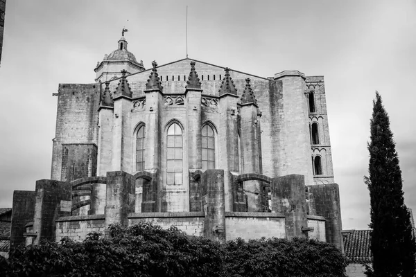 Takana Näkymä Katedraali Santa Maria Girona Kataloniassa Espanja Joka Sijaitsee — kuvapankkivalokuva
