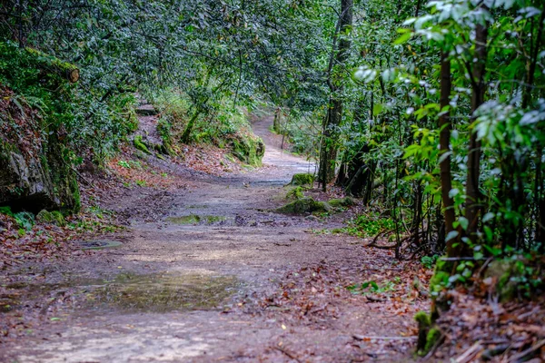 Pontevedra Spanya Şehrindeki Lerez Nehrinin Kıyısında Yaya Yolu — Stok fotoğraf