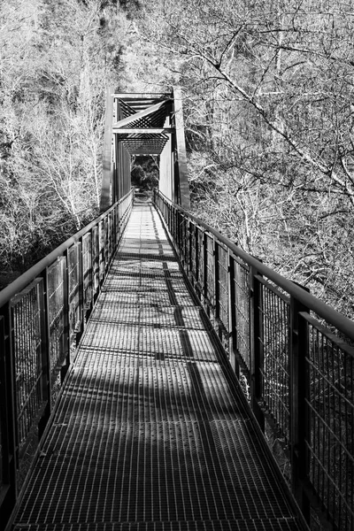Metalowy Most Dla Pieszych Przecinający Rzekę Lerez Pontevedra Hiszpania — Zdjęcie stockowe