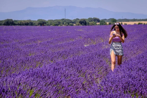 GUADALAJARA, İSPAN - 9 Temmuz 2021: Genç bir kadın lavanta tarlasının ortasında yürürken zekasına danışır.