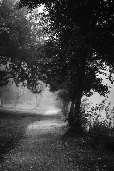 Black White Photo Rural Path Castineiras Lagoon Vilaboa Spain — Zdjęcie stockowe