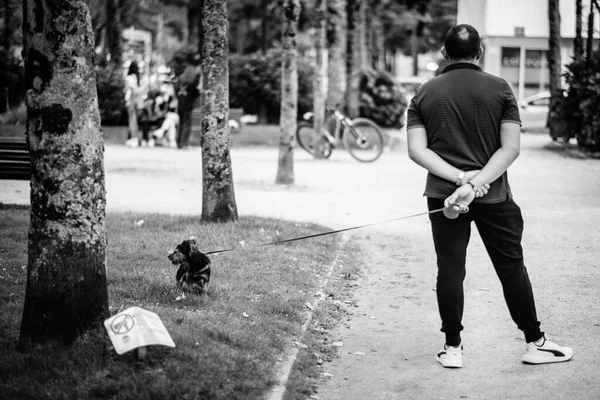 スペインのポンテベドラ 2021年7月20日 スペルの男は 彼の犬が動物のために禁止された庭を侵略しながら 反対側に見えます — ストック写真