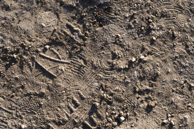 Galiçya 'daki Camino de Santiago' da (İspanya) çeşitli ayakkabı türleri tarafından üretilen kumdaki ayak izleri)