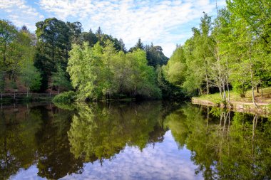 Castineiras Gölü, Monte Cotorredondo 'da bulunan yapay bir gölet. Göl çevresinde Galiçya 'nın (İspanya) en eski orman parklarından biri bulunur.)