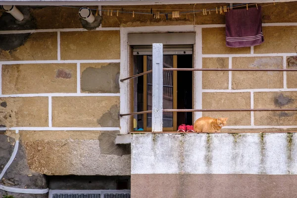 Een Kat Rust Naast Rode Pantoffels Een Balkon Van Een — Stockfoto