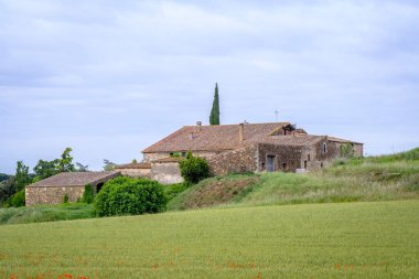 Katalonya 'da (İspanya) buğday tarlasıyla çevrili tipik bir kır evi manzarası.