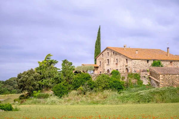 View Typical Rural House Catalonia Spain Surrounded Wheat Field — Stock Photo, Image