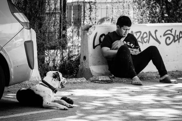 Barcelona Spanien Juni 2021 Ein Hund Beobachtet Einen Jungen Beim — Stockfoto