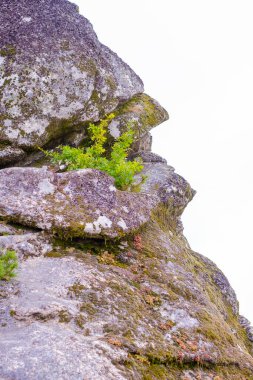 Detail of a granite rock that resembles the profile of a human face.