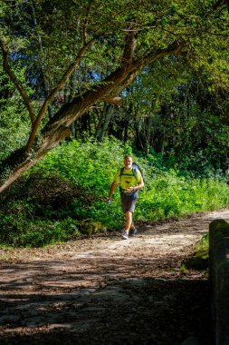 PONTEVEDRA, İSPA - 21 EYLÜL 2021: Bir hacı Camino de Santiago 'nun güzergahlarından birinde yürüyor.