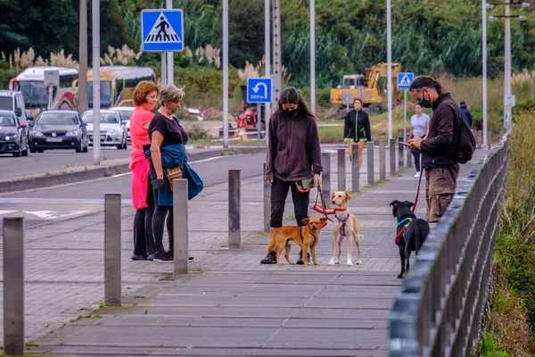 Pontesampaio Spain September 2021 Group People Walk Dogs Pedestrian Promenade — Zdjęcie stockowe