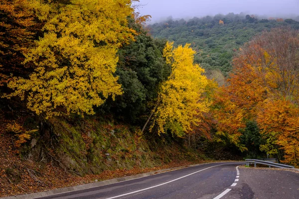 Mountain Road Autumn Catalonia Spain — Fotografia de Stock