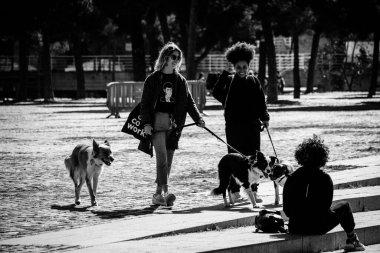 BARCELONA, İspanya - 20 Şubat 2022: Bir grup kız, şehir parkında köpeklerini gezdirirken sohbet ediyorlar..