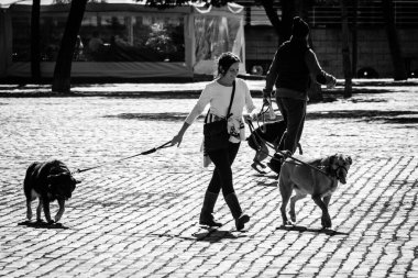BARCELONA, İSPA - 20 Şubat 2022: Genç bir kadın şehir meydanlarından birinde iki köpekle yürüyor.