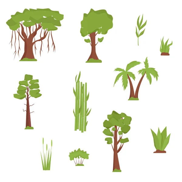 Vegetación India Árboles Hierba Banyan Palmeras Bambú Sándalo Coníferas Diseño — Vector de stock