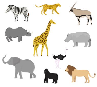 Afrika vahşi hayvanlarıyla dolu. Düz stil. Zürafa, fil, su aygırı, gergedan, zebra, maymun, orangutan, antilop, çita, aslan, leopar, devekuşu.
