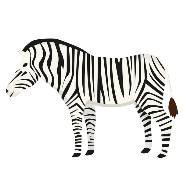 Zebra Stile Piatto Isolato Sfondo Bianco — Vettoriale Stock