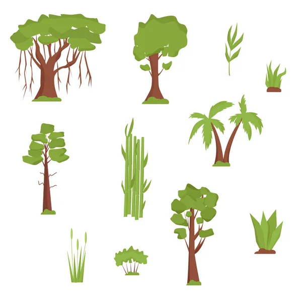 Vegetation Indien Träd Och Gräs Banyan Palmer Bambu Sandelträ Barrträd — Stock vektor