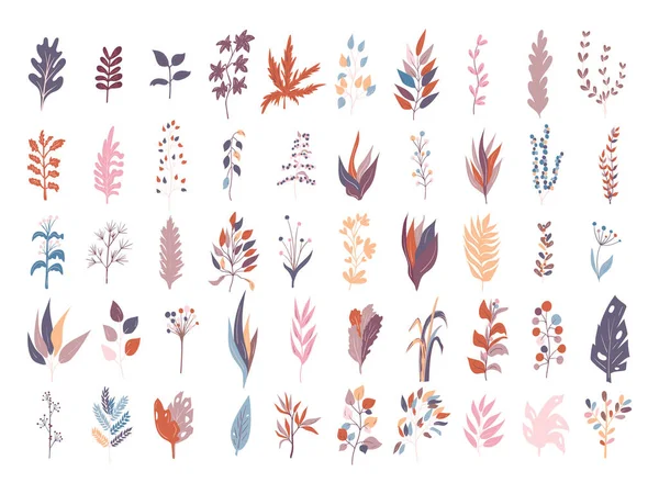 Ensemble Icônes Feuilles Dans Style Doodle — Image vectorielle