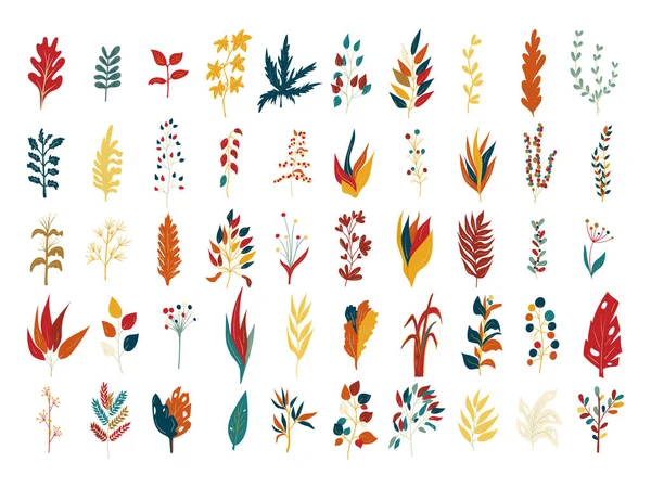 Ensemble Icônes Feuilles Dans Style Doodle — Image vectorielle