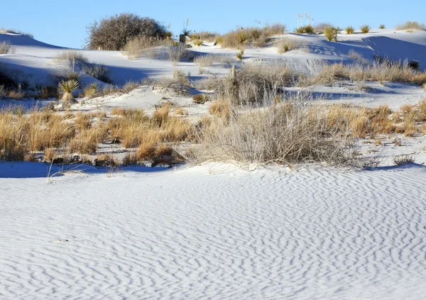 The Flats in the White Sands Memorial Monument — Stock Photo, Image