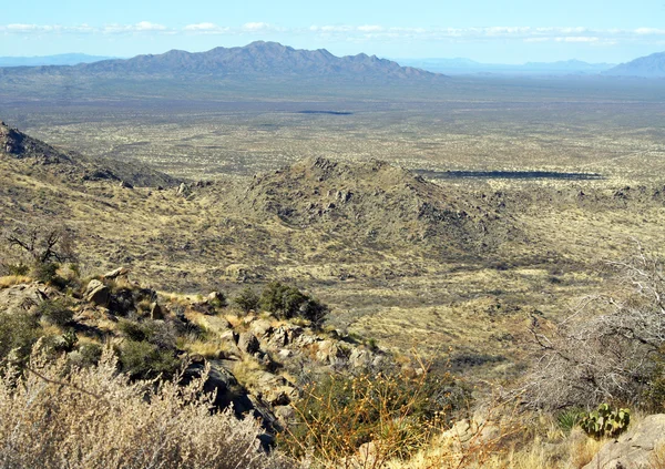 Beau paysage du désert — Photo