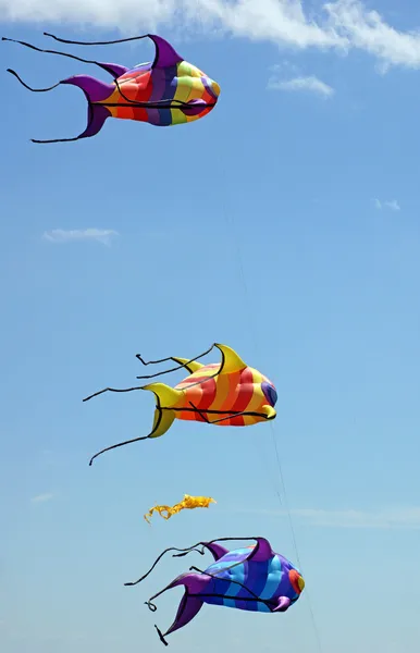 Fish kites — Stock Photo, Image