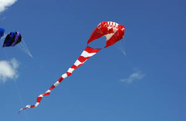 Canadian flag kite — Stock Photo, Image