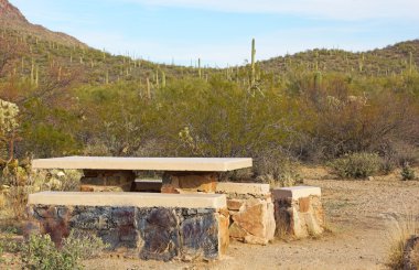 Çölün ortasında piknik