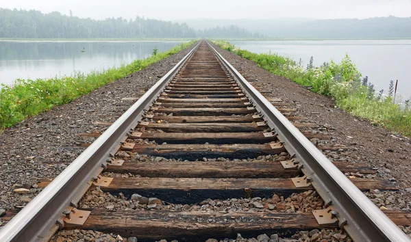 Railroad tracks vanish in the mist Royalty Free Stock Photos