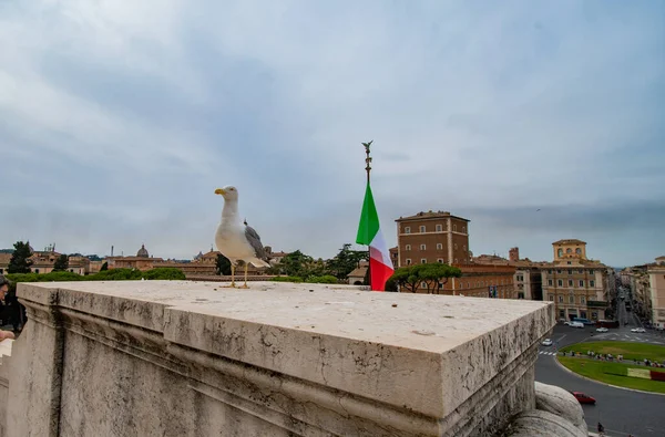 意大利罗马 2022年6月22日 白天参观维克多 埃马纽埃尔二世纪念碑 — 图库照片