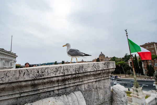 意大利罗马 2022年6月22日 白天参观维克多 埃马纽埃尔二世纪念碑 — 图库照片