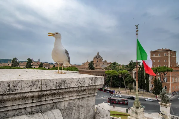 Рим Италия Июня 2022 Года Вид Памятник Виктору Эммануилу Днем — стоковое фото
