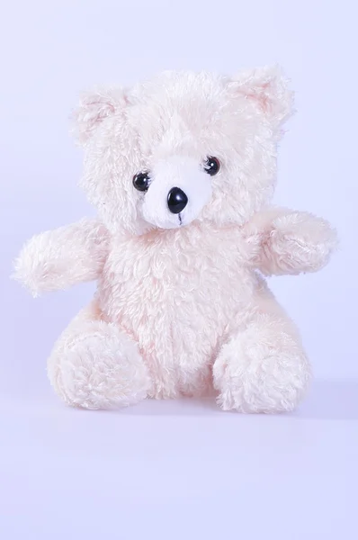 Weißer Teddybär — Stockfoto