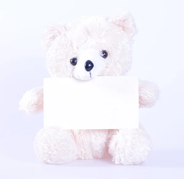 Beyaz bir oyuncak ayı — Stok fotoğraf
