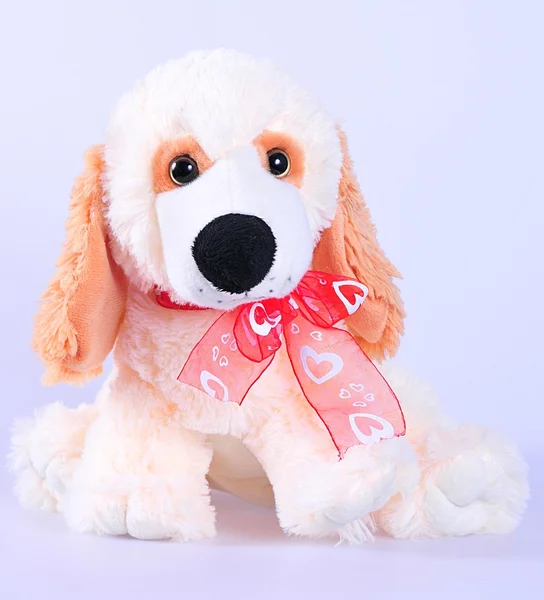 Peluche perro de juguete — Foto de Stock