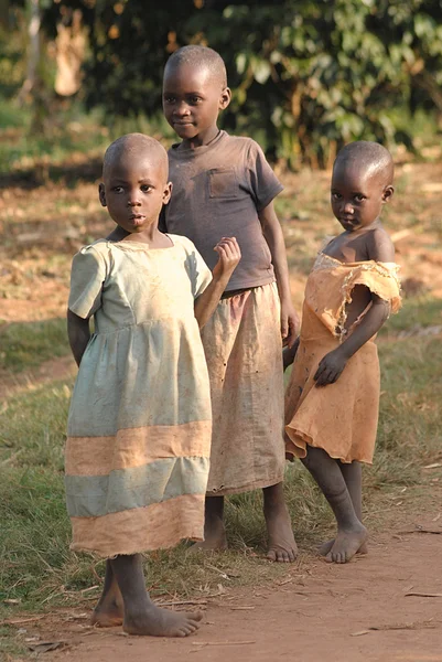 Afrikanska barn som lever i en fattig by rushooka nära staden mbarara i uganda Stockbild