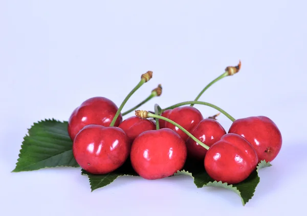 Cherry with leaves — Stock Photo, Image
