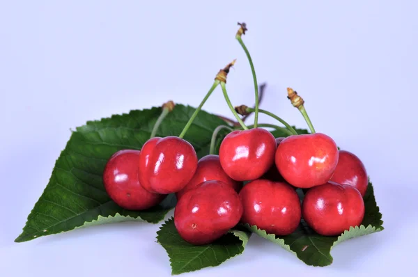 yaprakları ile kiraz