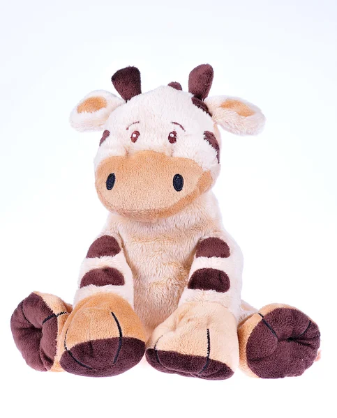 Plush Cow — Stock Photo, Image