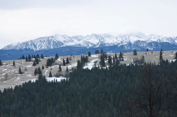 Mountain in winter — Stock Photo, Image