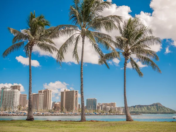 HONOLULU, HAWAII - FEB 2: Vista de Waikiki Yacht club de Ala Moana beach park com edifícios atrás — Fotografia de Stock