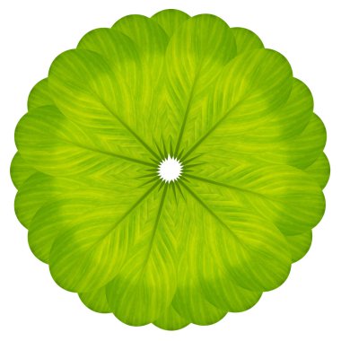 yaprak yeşil çiçek